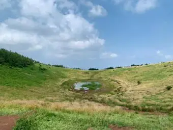 <지그재그 x 비짓제주와 함께 떠나는 제주도 여행> 지그제주 댓글 이벤트