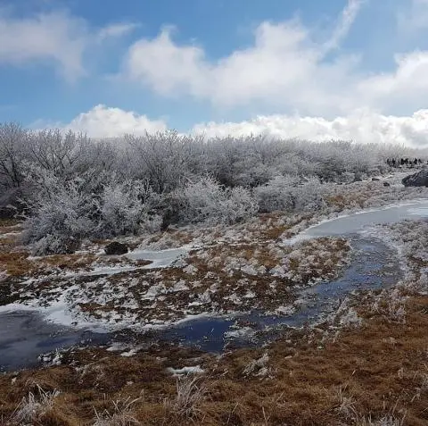 <지그재그 x 비짓제주와 함께 떠나는 제주도 여행> 지그제주 댓글 이벤트