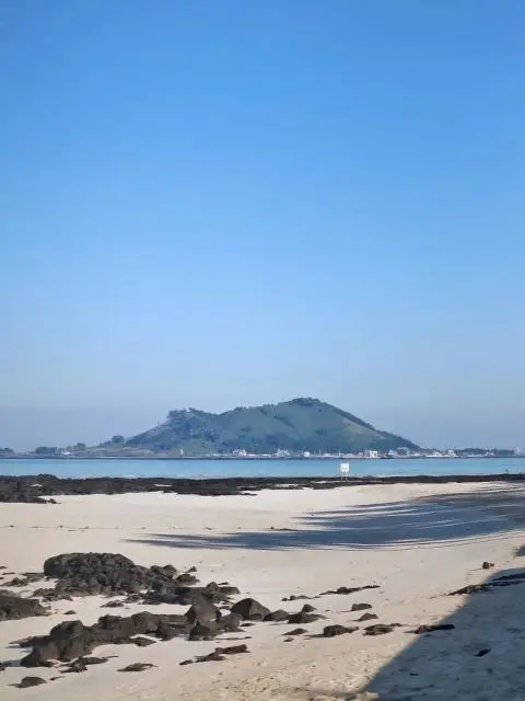 <지그재그 x 비짓제주와 함께 떠나는 제주도 여행> 지그제주 댓글 이벤트