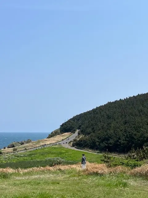 <지그재그 x 비짓제주와 함께 떠나는 제주도 여행> 지그제주 댓글 이벤트