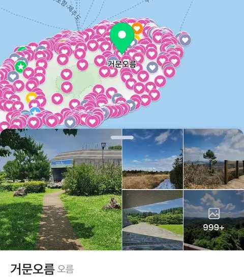 <지그재그 x 비짓제주와 함께 떠나는 제주도 여행> 지그제주 댓글 이벤트