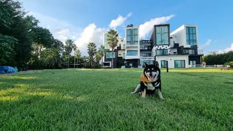 제주애견동반감성숙소 르페도라 대표이미지