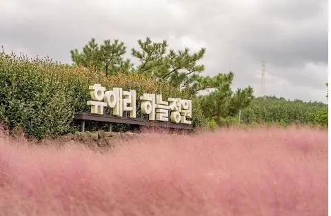 초성 퀴즈 이벤트 <제주의 핑크빛 가을을 찾아라!>