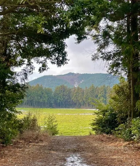 <지그재그 x 비짓제주와 함께 떠나는 제주도 여행> 지그제주 댓글 이벤트