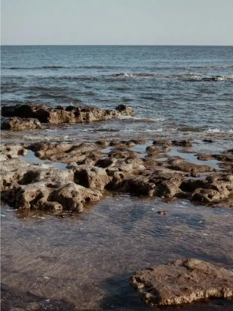 <지그재그 x 비짓제주와 함께 떠나는 제주도 여행> 지그제주 댓글 이벤트