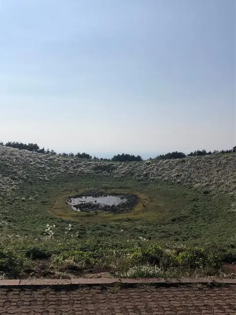 <지그재그 x 비짓제주와 함께 떠나는 제주도 여행> 지그제주 댓글 이벤트