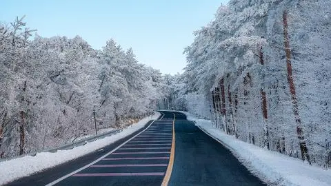 <지그재그 x 비짓제주와 함께 떠나는 제주도 여행> 지그제주 댓글 이벤트