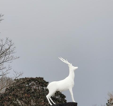 <지그재그 x 비짓제주와 함께 떠나는 제주도 여행> 지그제주 댓글 이벤트