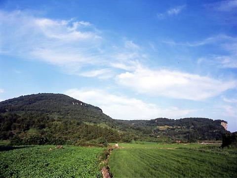 <지그재그 x 비짓제주와 함께 떠나는 제주도 여행> 지그제주 댓글 이벤트