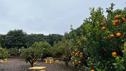 <지그재그 x 비짓제주와 함께 떠나는 제주도 여행> 지그제주 댓글 이벤트