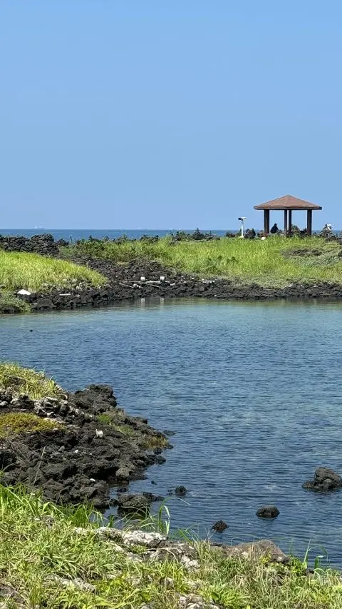 <지그재그 x 비짓제주와 함께 떠나는 제주도 여행> 지그제주 댓글 이벤트