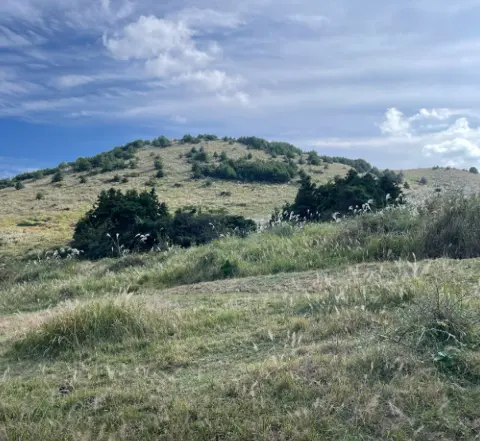 <지그재그 x 비짓제주와 함께 떠나는 제주도 여행> 지그제주 댓글 이벤트