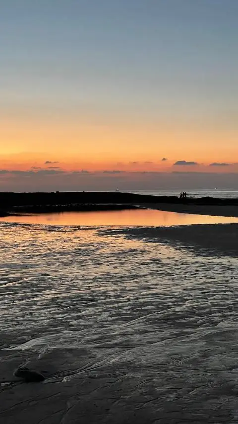 <지그재그 x 비짓제주와 함께 떠나는 제주도 여행> 지그제주 댓글 이벤트