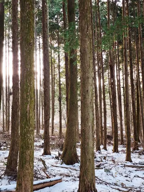 <지그재그 x 비짓제주와 함께 떠나는 제주도 여행> 지그제주 댓글 이벤트