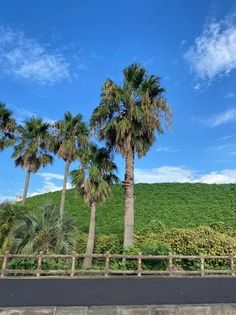 <지그재그 x 비짓제주와 함께 떠나는 제주도 여행> 지그제주 댓글 이벤트