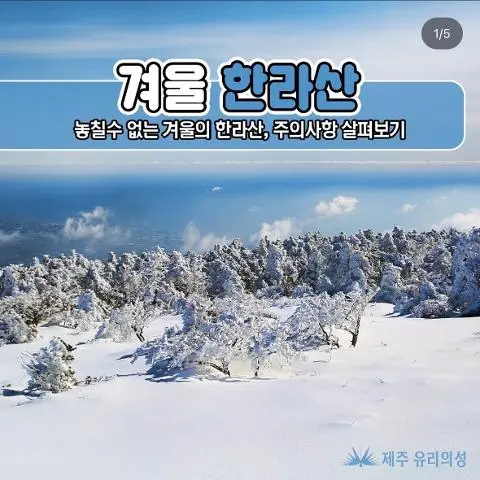 <지그재그 x 비짓제주와 함께 떠나는 제주도 여행> 지그제주 댓글 이벤트