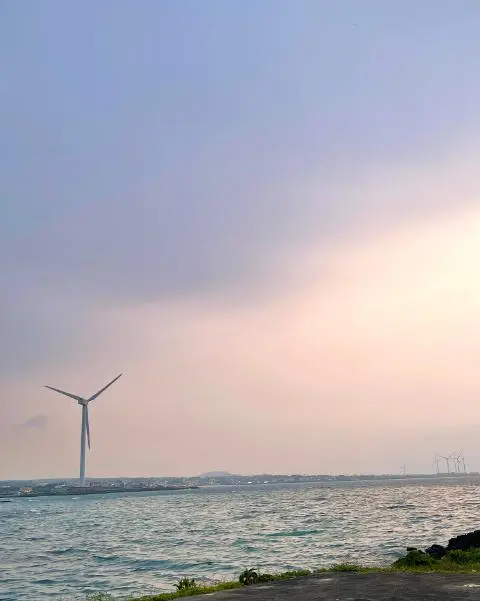 <지그재그 x 비짓제주와 함께 떠나는 제주도 여행> 지그제주 댓글 이벤트