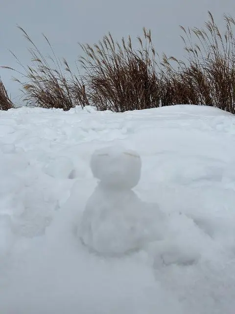 <지그재그 x 비짓제주와 함께 떠나는 제주도 여행> 지그제주 댓글 이벤트