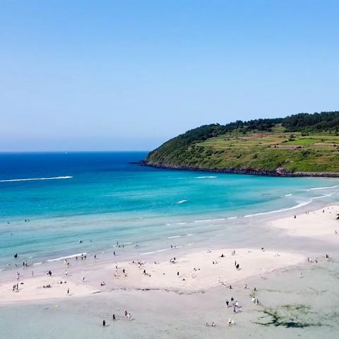 <지그재그 x 비짓제주와 함께 떠나는 제주도 여행> 지그제주 댓글 이벤트