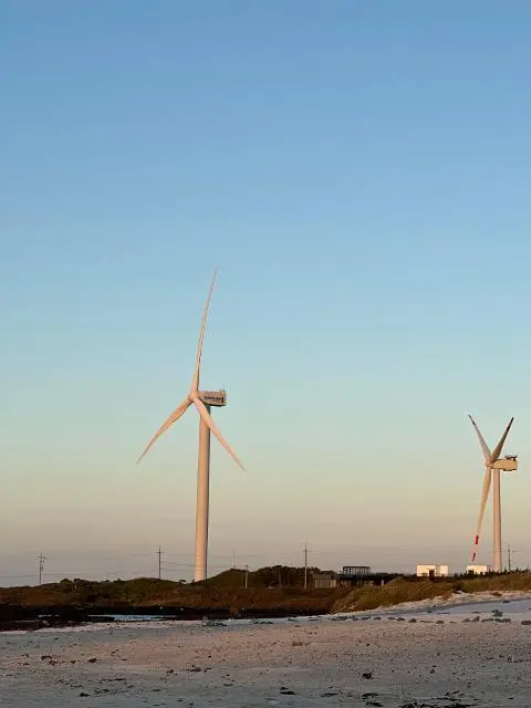 <지그재그 x 비짓제주와 함께 떠나는 제주도 여행> 지그제주 댓글 이벤트