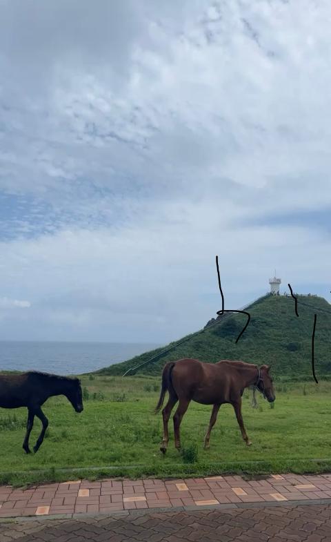 <지그재그 x 비짓제주와 함께 떠나는 제주도 여행> 지그제주 댓글 이벤트