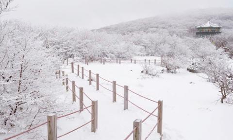 <지그재그 x 비짓제주와 함께 떠나는 제주도 여행> 지그제주 댓글 이벤트