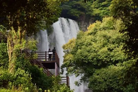 <지그재그 x 비짓제주와 함께 떠나는 제주도 여행> 지그제주 댓글 이벤트