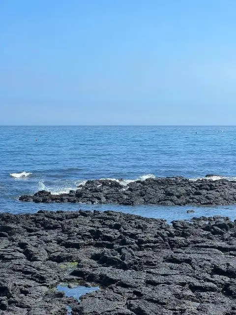 <지그재그 x 비짓제주와 함께 떠나는 제주도 여행> 지그제주 댓글 이벤트