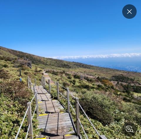 <지그재그 x 비짓제주와 함께 떠나는 제주도 여행> 지그제주 댓글 이벤트