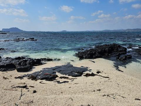 <지그재그 x 비짓제주와 함께 떠나는 제주도 여행> 지그제주 댓글 이벤트