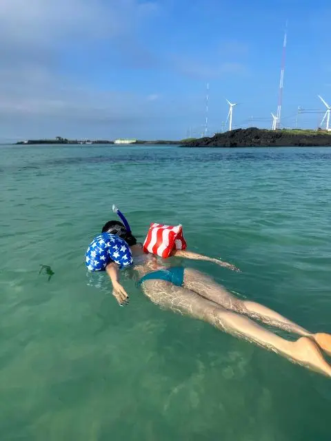 <지그재그 x 비짓제주와 함께 떠나는 제주도 여행> 지그제주 댓글 이벤트