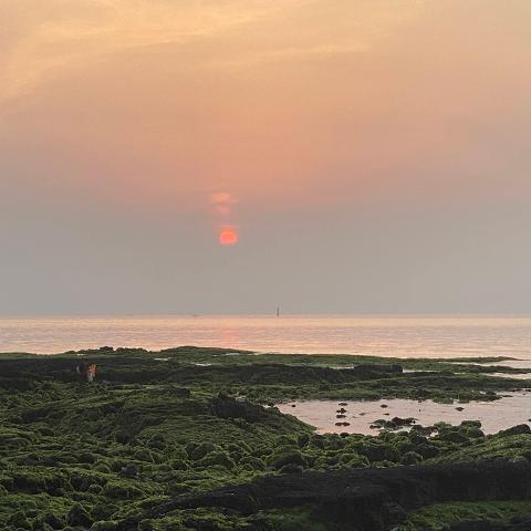 <지그재그 x 비짓제주와 함께 떠나는 제주도 여행> 지그제주 댓글 이벤트