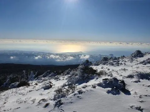 <지그재그 x 비짓제주와 함께 떠나는 제주도 여행> 지그제주 댓글 이벤트