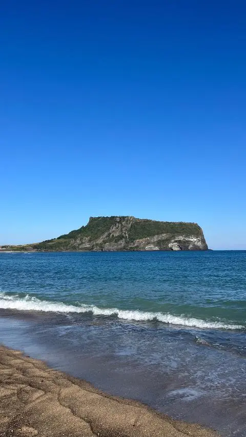 <지그재그 x 비짓제주와 함께 떠나는 제주도 여행> 지그제주 댓글 이벤트