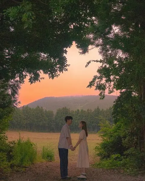 <지그재그 x 비짓제주와 함께 떠나는 제주도 여행> 지그제주 댓글 이벤트