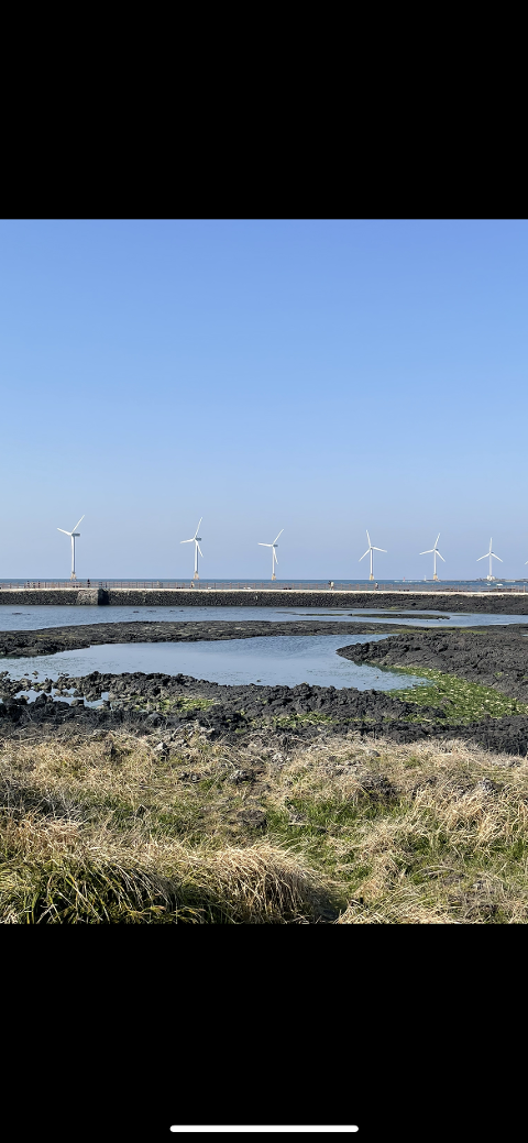 <지그재그 x 비짓제주와 함께 떠나는 제주도 여행> 지그제주 댓글 이벤트