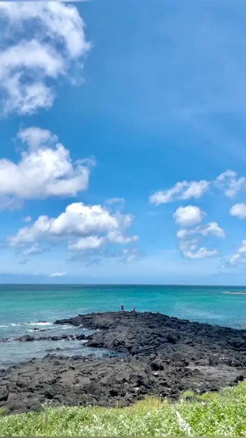 <지그재그 x 비짓제주와 함께 떠나는 제주도 여행> 지그제주 댓글 이벤트