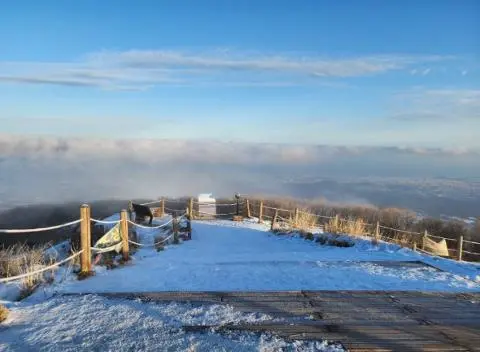 <지그재그 x 비짓제주와 함께 떠나는 제주도 여행> 지그제주 댓글 이벤트