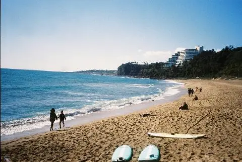 <지그재그 x 비짓제주와 함께 떠나는 제주도 여행> 지그제주 댓글 이벤트