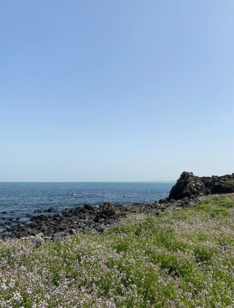 <지그재그 x 비짓제주와 함께 떠나는 제주도 여행> 지그제주 댓글 이벤트