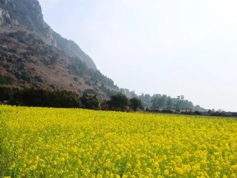 <지그재그 x 비짓제주와 함께 떠나는 제주도 여행> 지그제주 댓글 이벤트