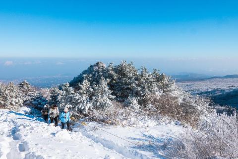 <지그재그 x 비짓제주와 함께 떠나는 제주도 여행> 지그제주 댓글 이벤트