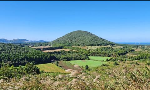 <지그재그 x 비짓제주와 함께 떠나는 제주도 여행> 지그제주 댓글 이벤트