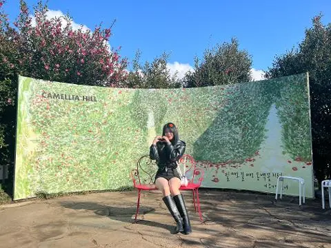 <지그재그 x 비짓제주와 함께 떠나는 제주도 여행> 지그제주 댓글 이벤트