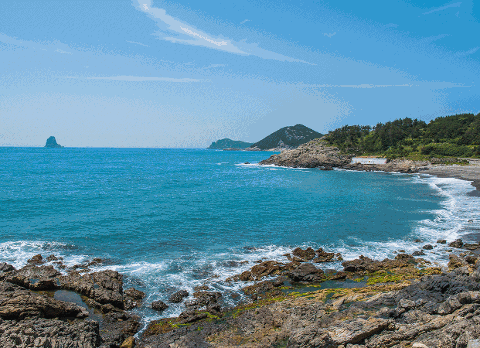 <지그재그 x 비짓제주와 함께 떠나는 제주도 여행> 지그제주 댓글 이벤트