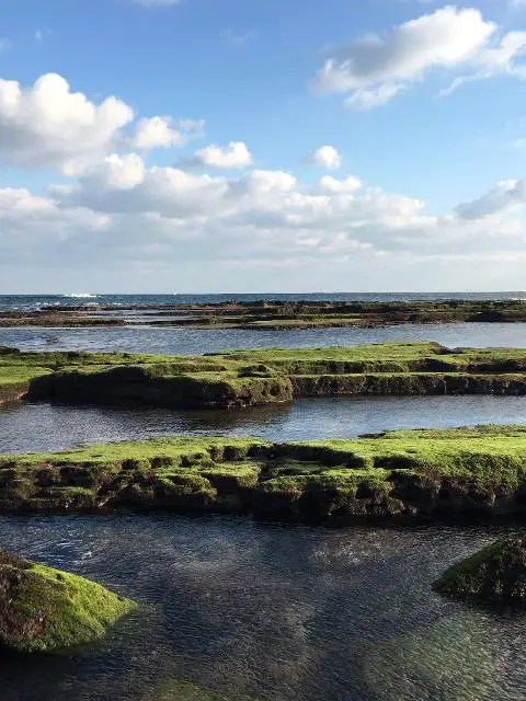 <지그재그 x 비짓제주와 함께 떠나는 제주도 여행> 지그제주 댓글 이벤트