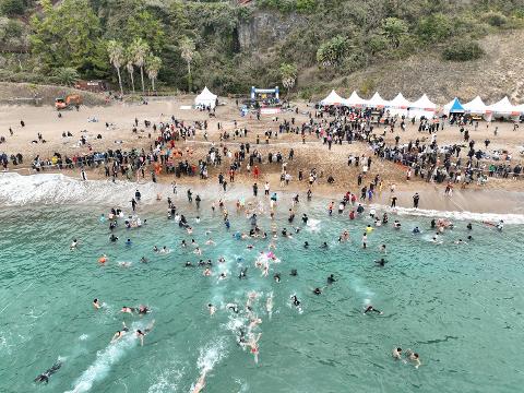 Seogwipo Winter Sea International Penguin Swimming Festival (2024 Festival has been cancled) 대표이미지