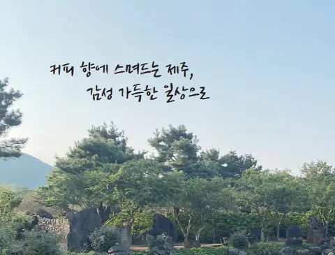 Our youth is just beginning now – (N)ew Beginnings' Jeju travel story - ③ 대표이미지