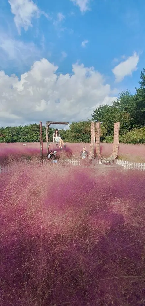 비짓제주 댓글 이벤트<JEJU 디지털관광증 명칭을 골라주세요>