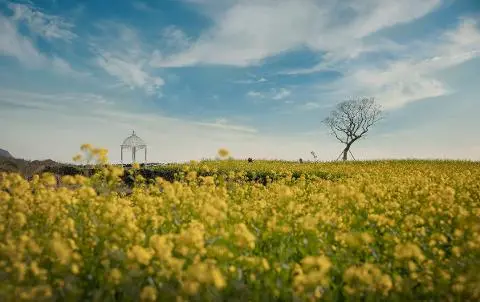 제주신화월드 신화가든 대표이미지